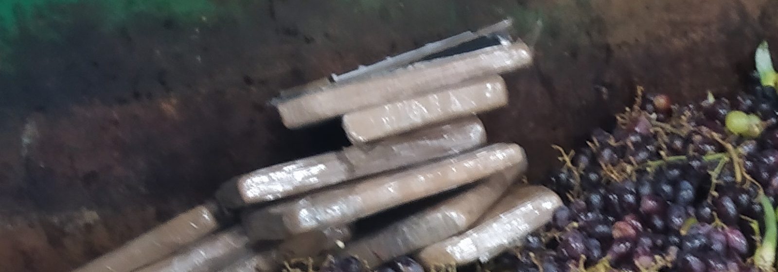 Cocaïne in container bioafval