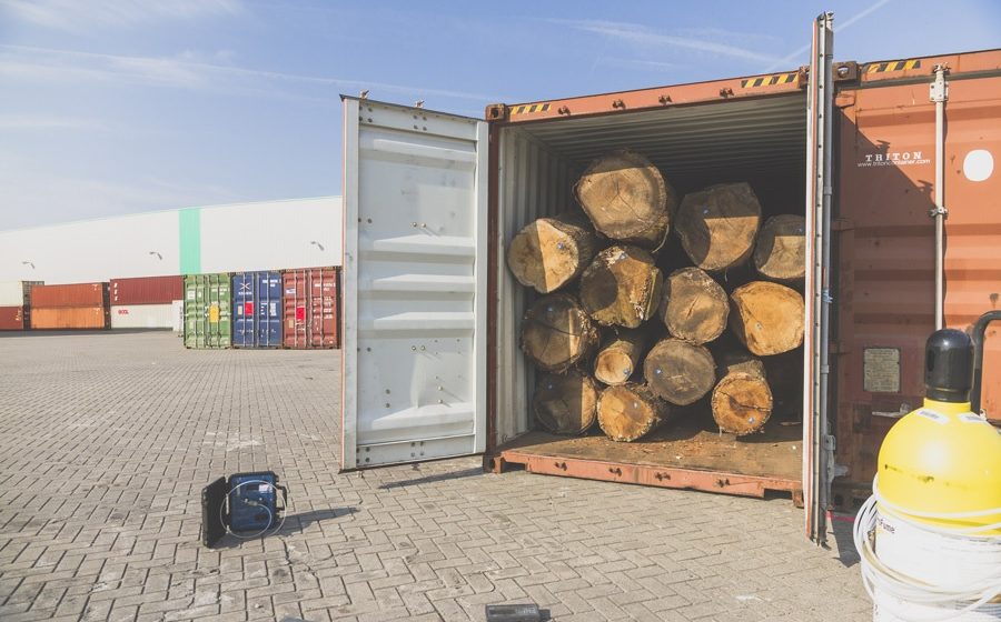 Fumigatie doodt schimmels en insecten in ladingen Europees hout voor het Verre Oosten