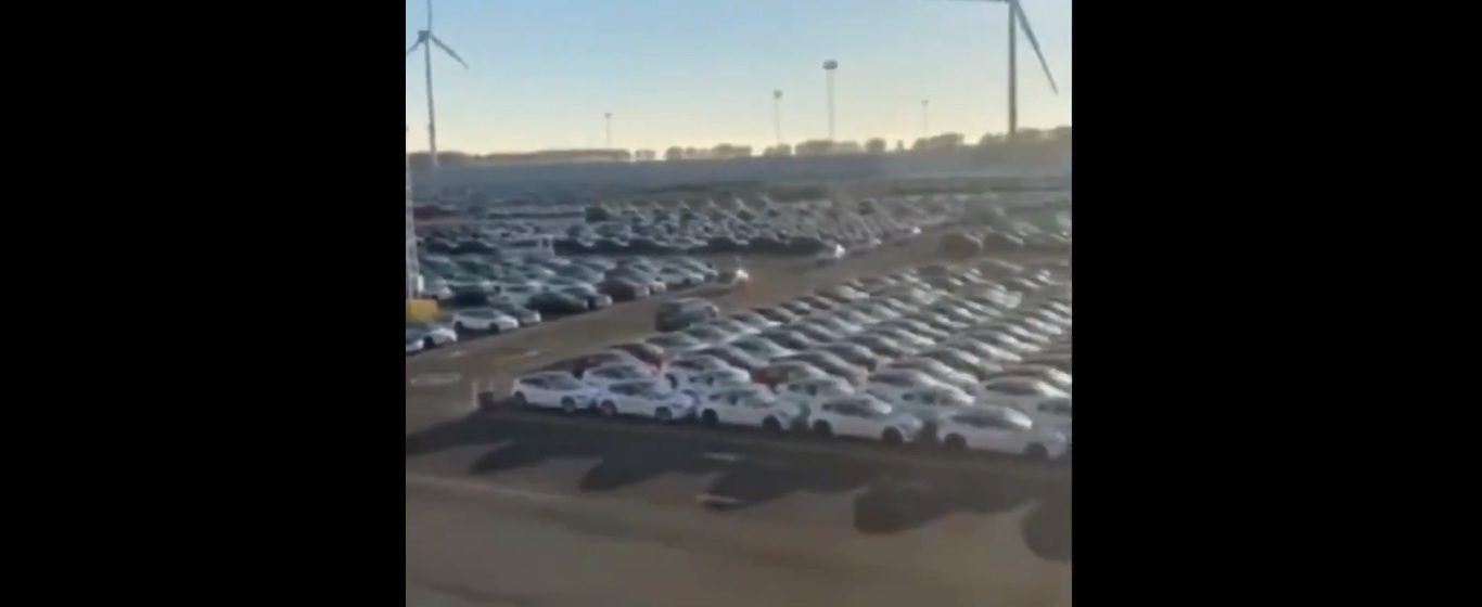 Duizenden Tesla's bij ICO Terminals in Zeebrugge