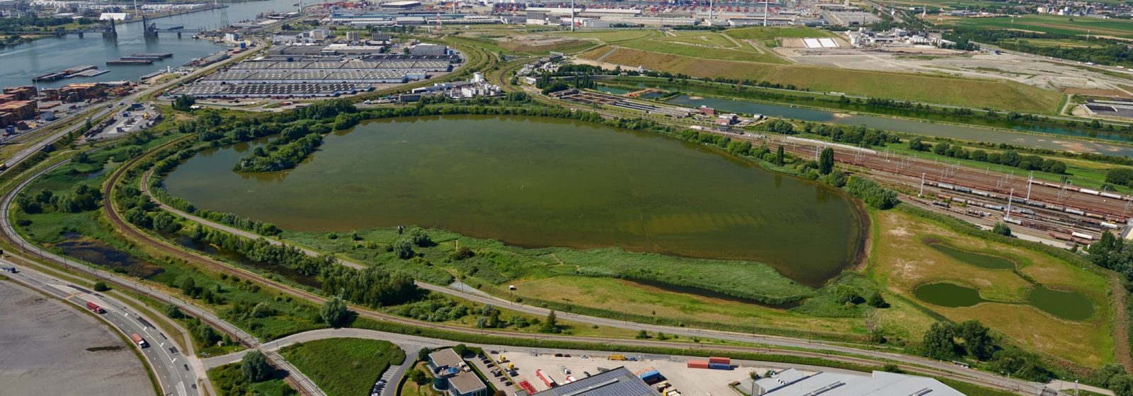 Groene zone in havengebied Antwerpen