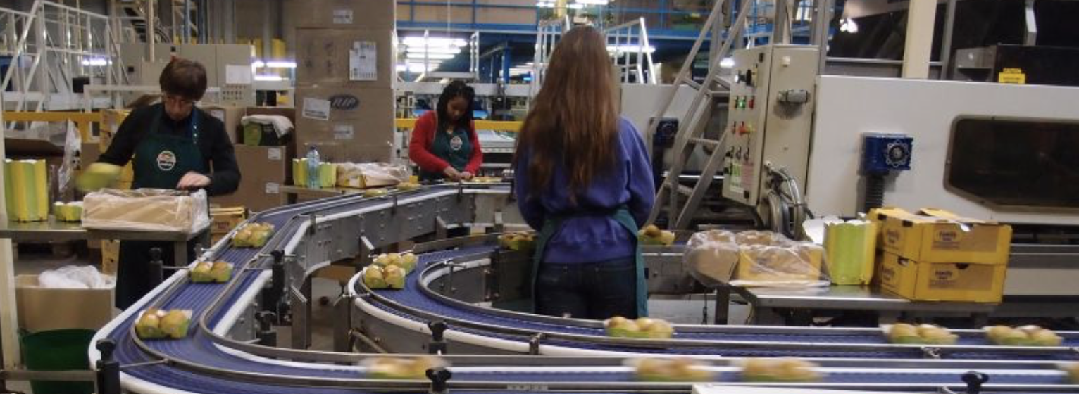 Zespri verpakt in Zeebrugge kiwifruit voor de Europese retail