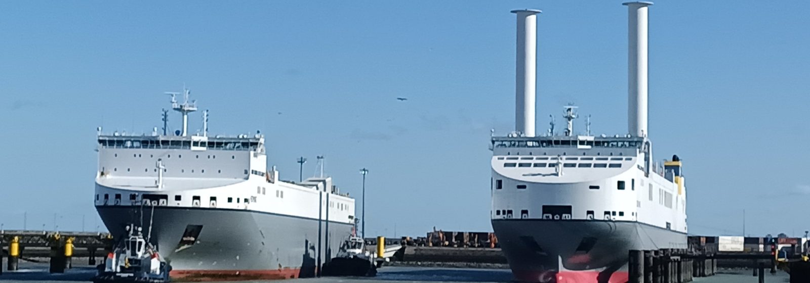 Roro 'Delphine' met rotorzeilen in Zeebrugge