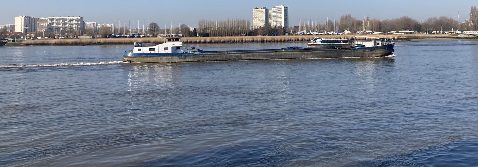 De waterkwaliteit in Vlaanderen gaat erop vooruit.