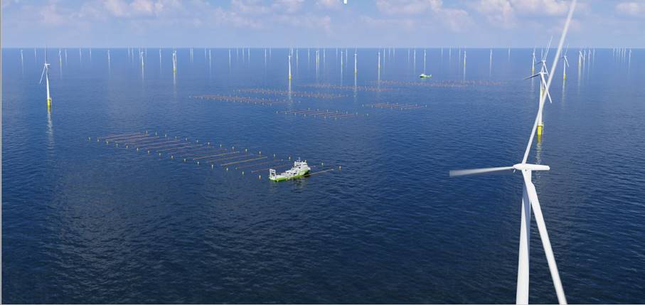 20230327 Algenproductie tussen offshore windturbines