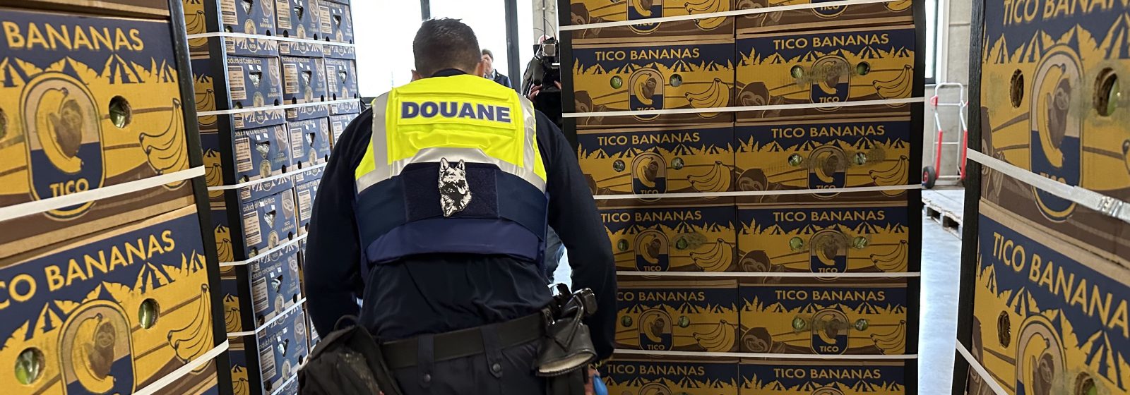 Douane zoekt naar cocaïne tussen bananen