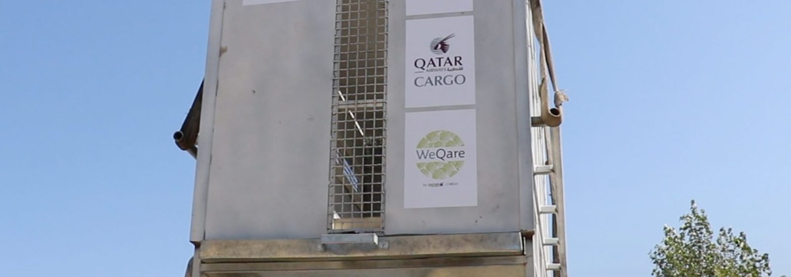 Vervoer van leeuw Ruben door Qatar Airways Cargo